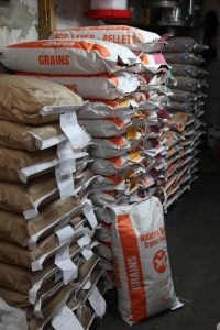 bags of nature's best organic feeds grains