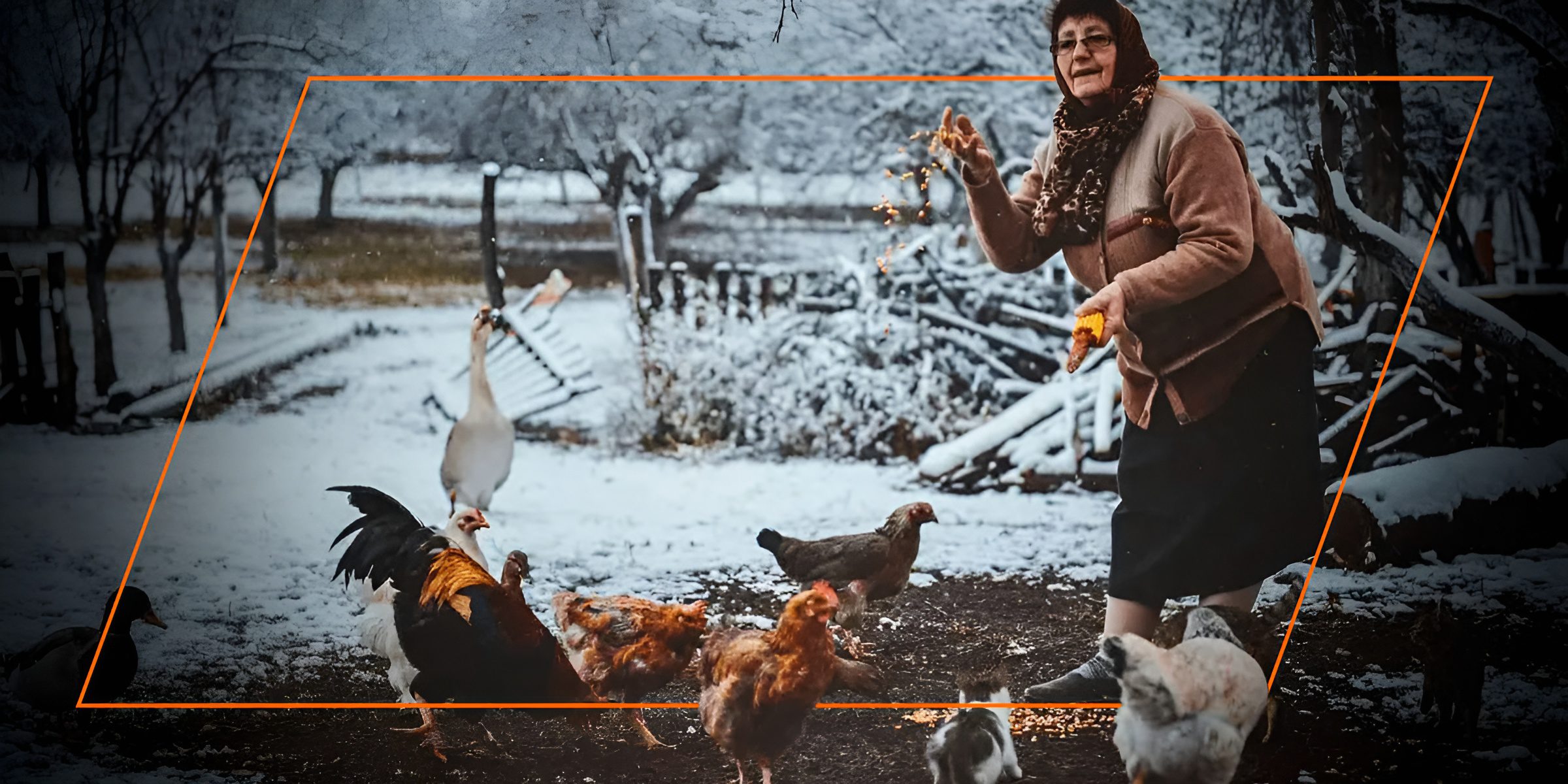 Woman scattering grain to chickens and geese on a snowy morning.