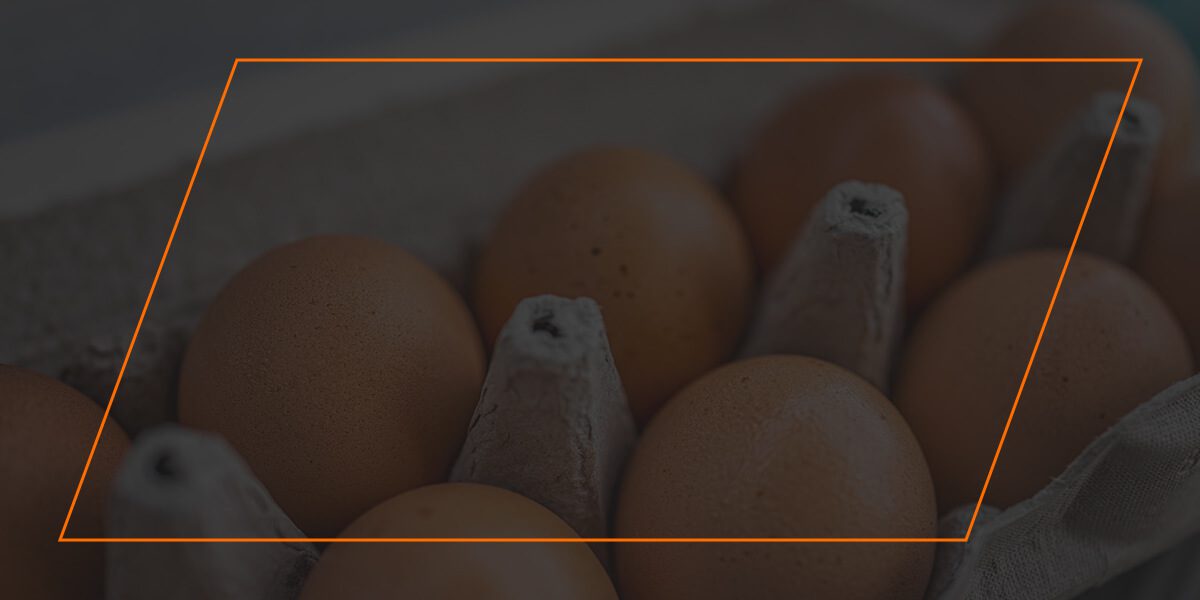 Close-up of fresh brown eggs in a paper carton, natural egg production.