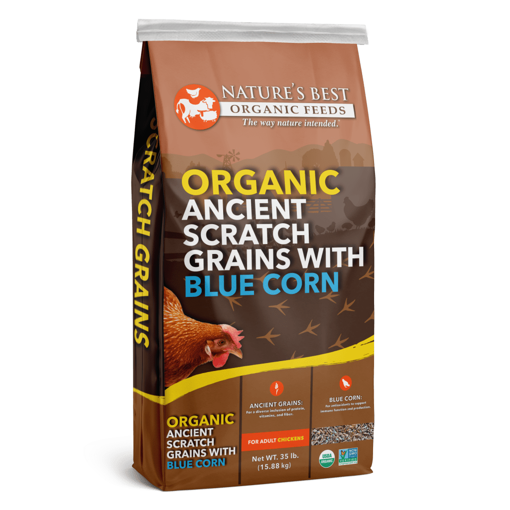 Organic Ancient Scratch Grains & Blue Corn
