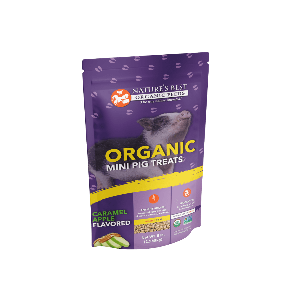 Organic Mini Pig Treats with Caramel Apple Flavor