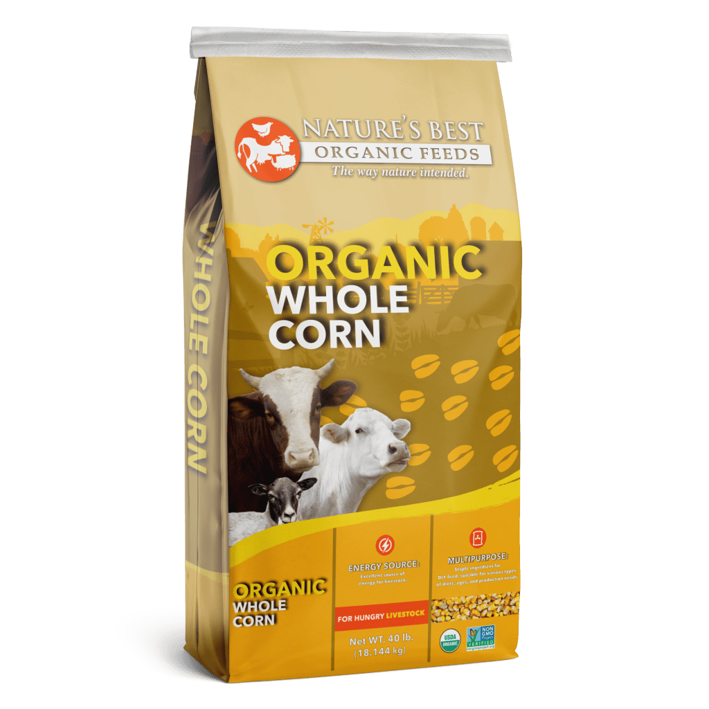 Organic Whole Corn