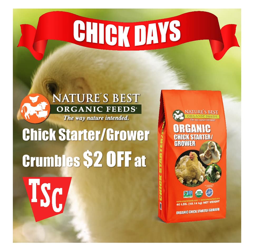 chick days coupon