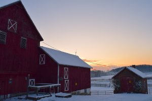 barn in morning