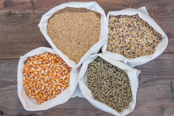 types of chicken feed