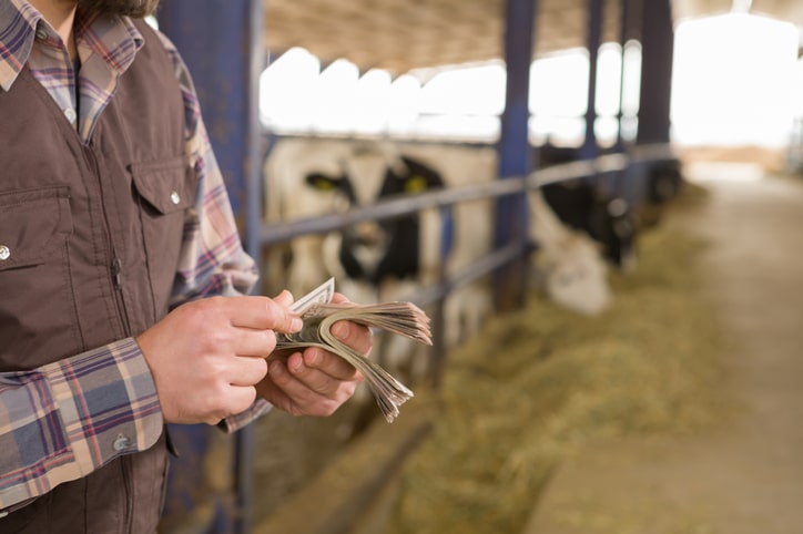 farmer counting money