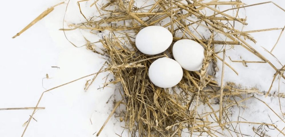 How to Keep Eggs From Freezing in the Coop