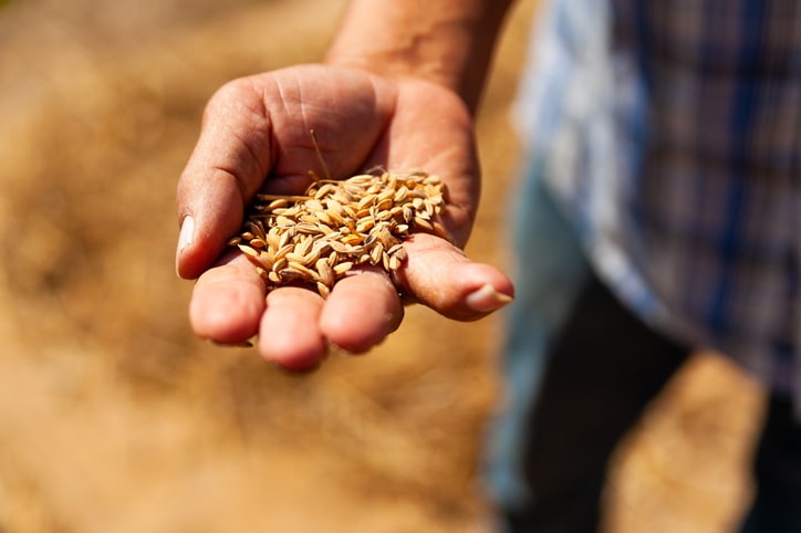 man holding organic animal feed