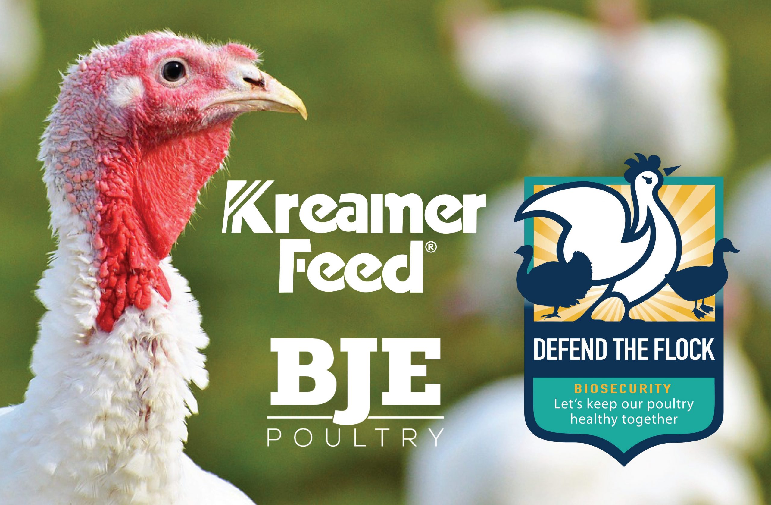 Kreamer Feed and BJE Poultry - Defend the Flock