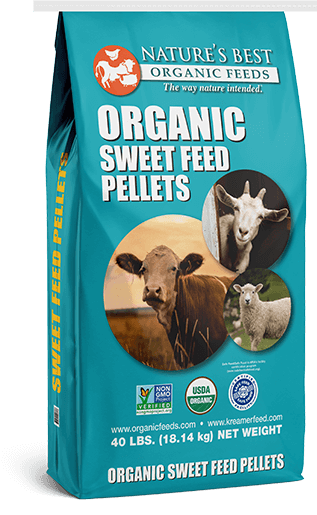 Organic Sweet Feed Pellets | Nature's Best Organic Feeds