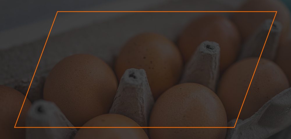 Egg Shortage Breakdown