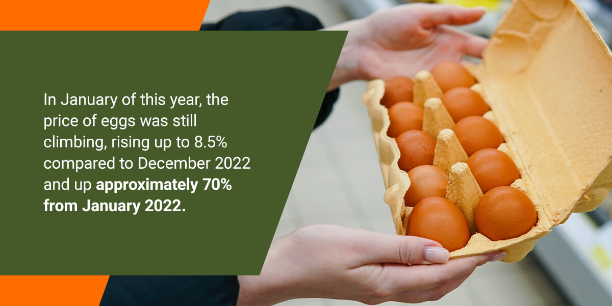 Egg Shortage Breakdown Nature's Best Organic Feed