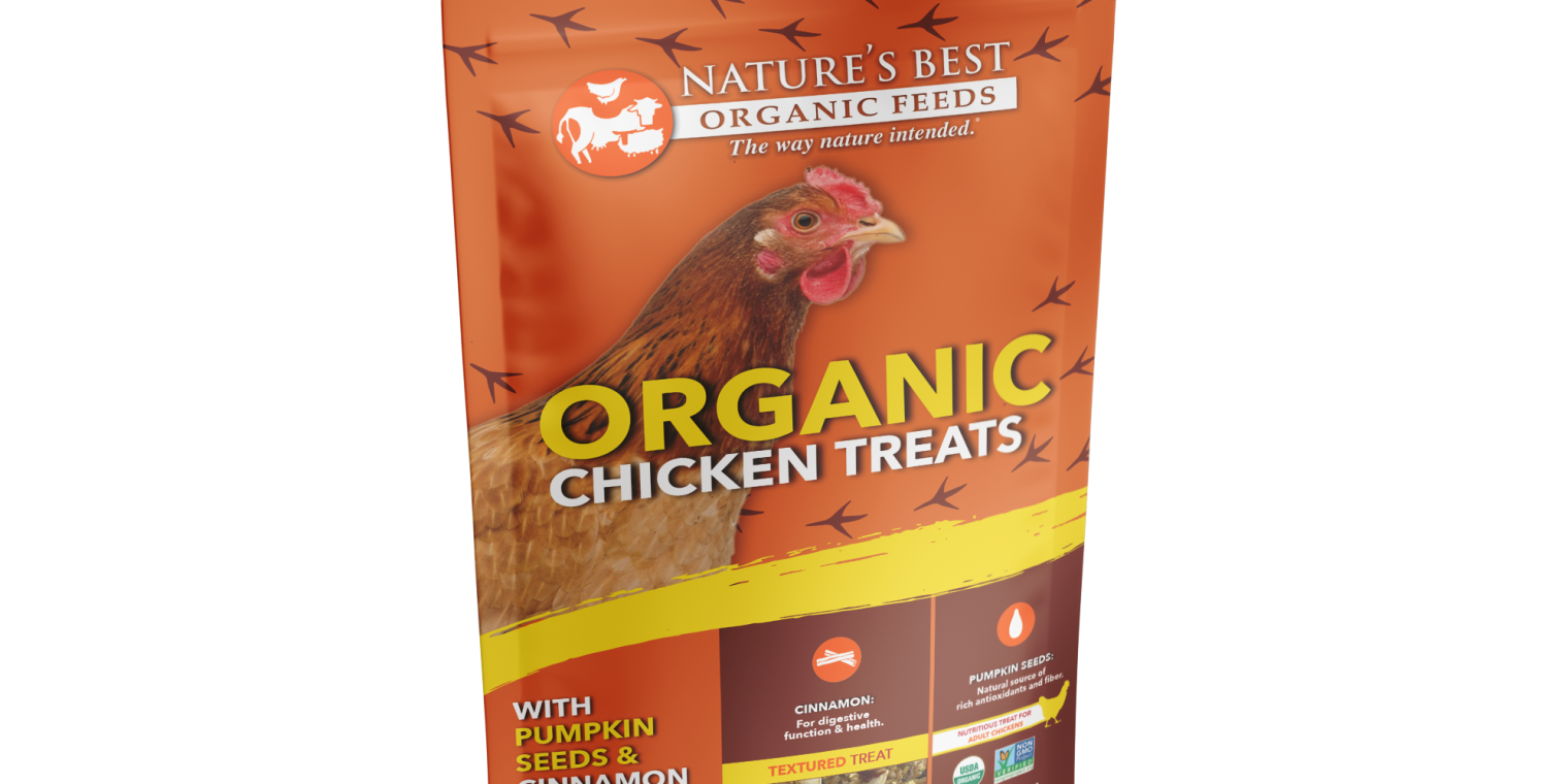 Organic Chicken Treats with Pumpkin Seeds & Cinnamon